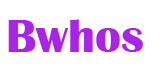 BwhosAI logo