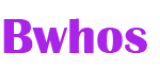 BwhosAI logo